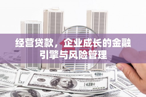 大林经营贷款，企业成长的金融引擎与风险管理