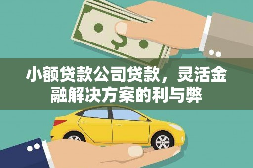 大林小额贷款公司贷款，灵活金融解决方案的利与弊